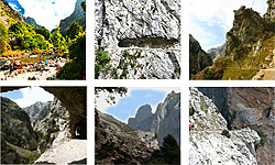 Fotos